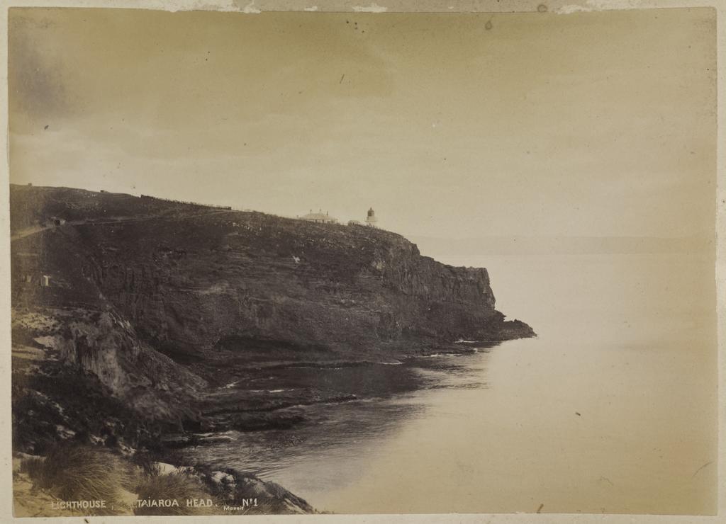 Lighthouse, Taiaroa Head