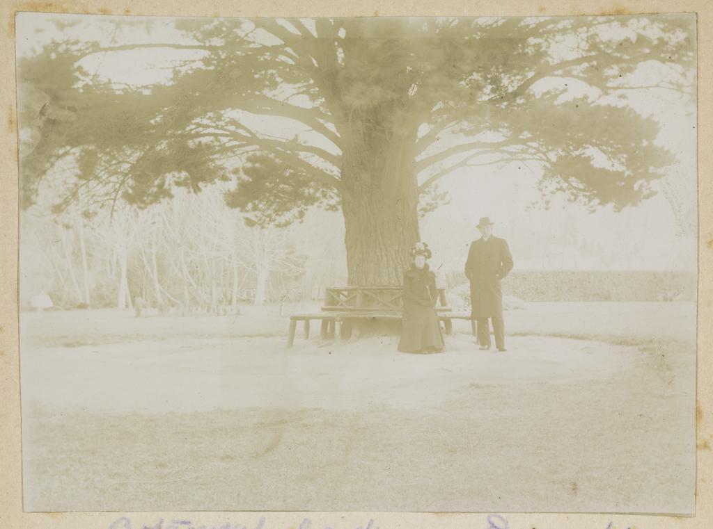 Botanical Gardens, Dunedin