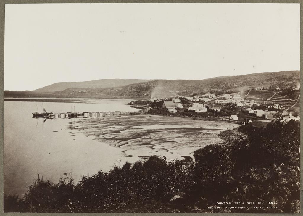 Dunedin from Bell Hill. The oldest known photo