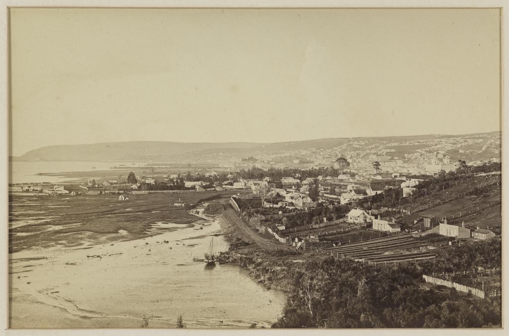 Dunedin from the vicinity of Pelichet Bay