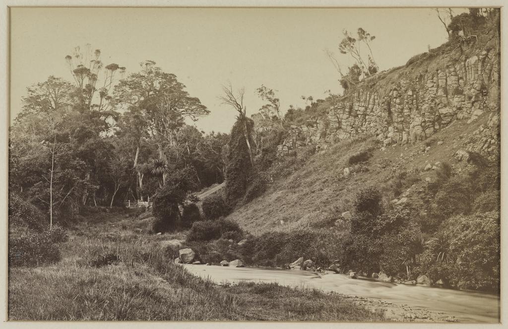 Tanna Hill from Union Street