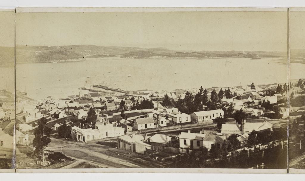 Panorama of Dunedin [part 4 of 5]