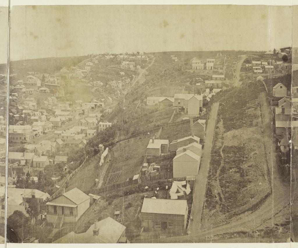 Eleven-part panorama of Dunedin [part 10 of 11]