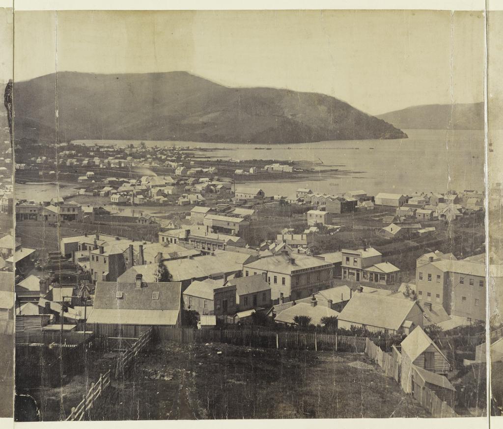 Eleven-part panorama of Dunedin [part 5 of 11]