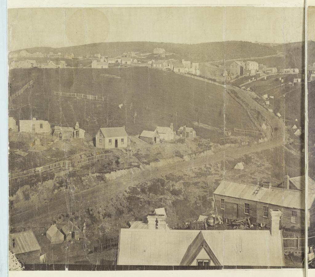 Eleven-part panorama of Dunedin [part 1 of 11]