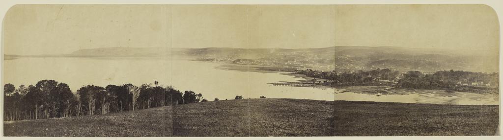Dunedin from Logan Point