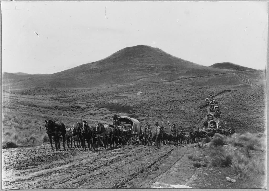 Wagon teams on the Pigroot