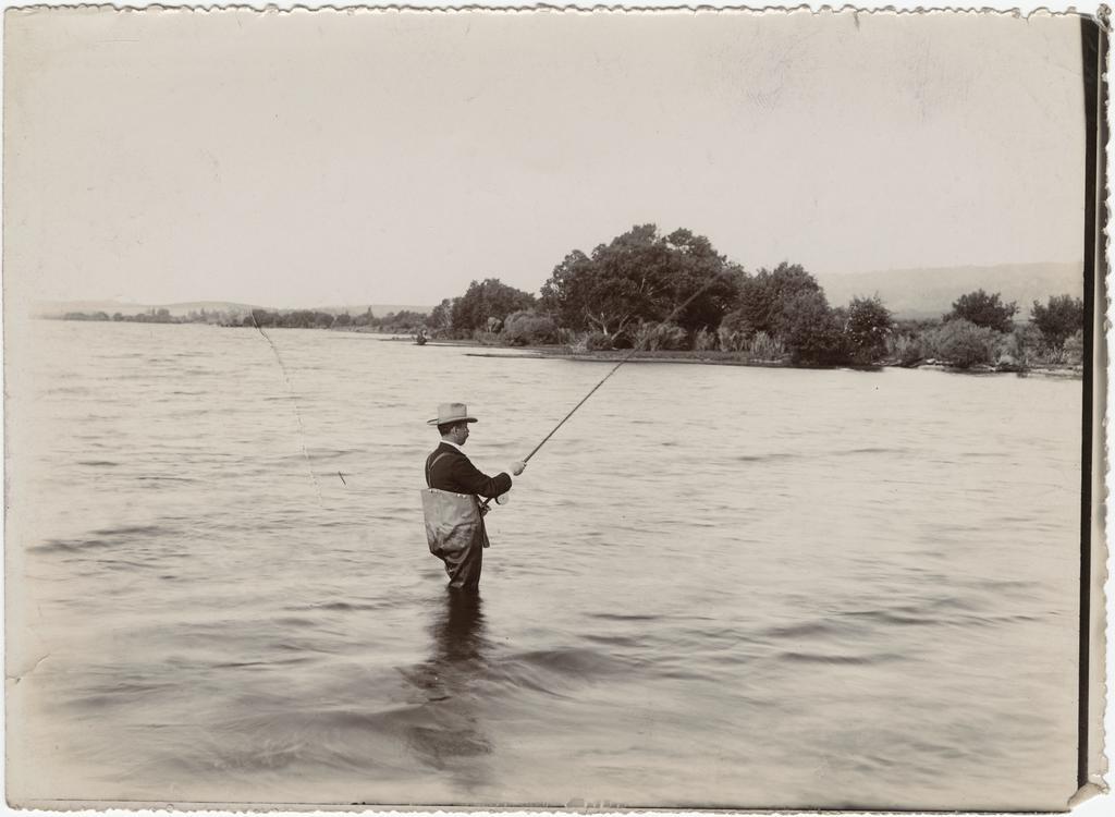 Fly fishing, Lake Rotorua