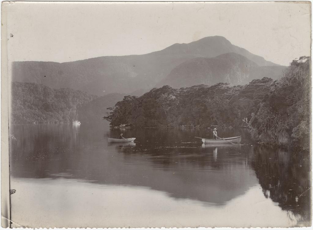 In Dusky Sound, West Coast