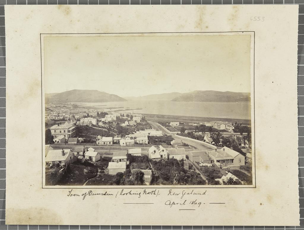 Town of Dunedin, looking north, New Zealand