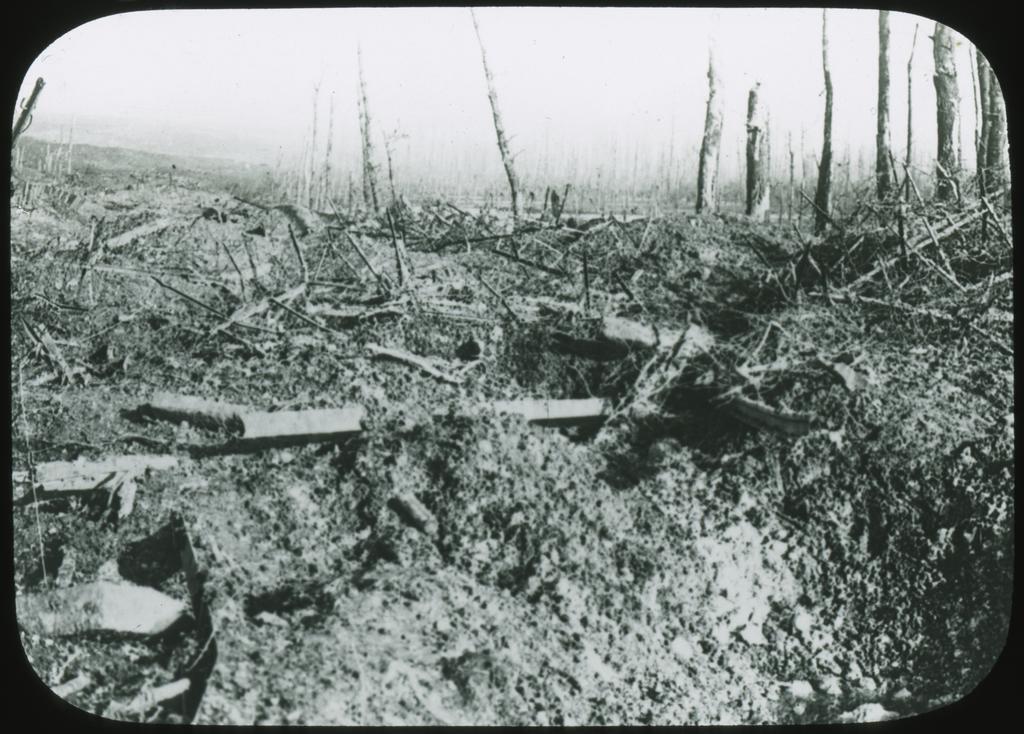 German barbed wire entanglements