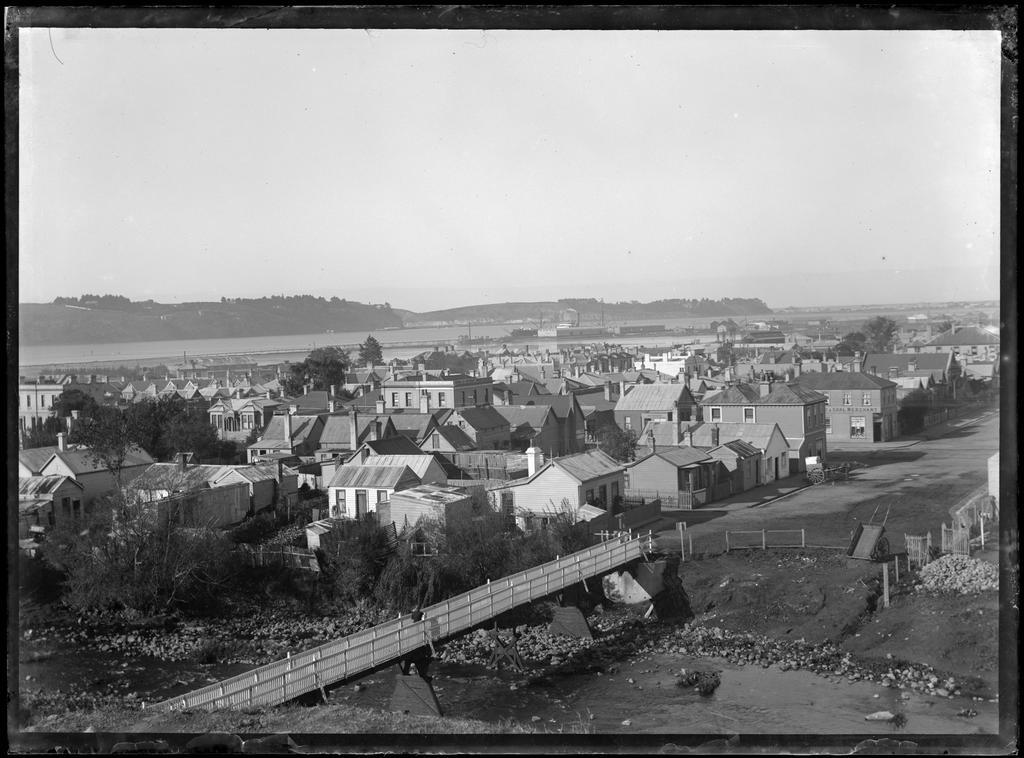 Dunedin from Leith Street