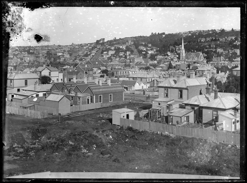 A view of North Dunedin