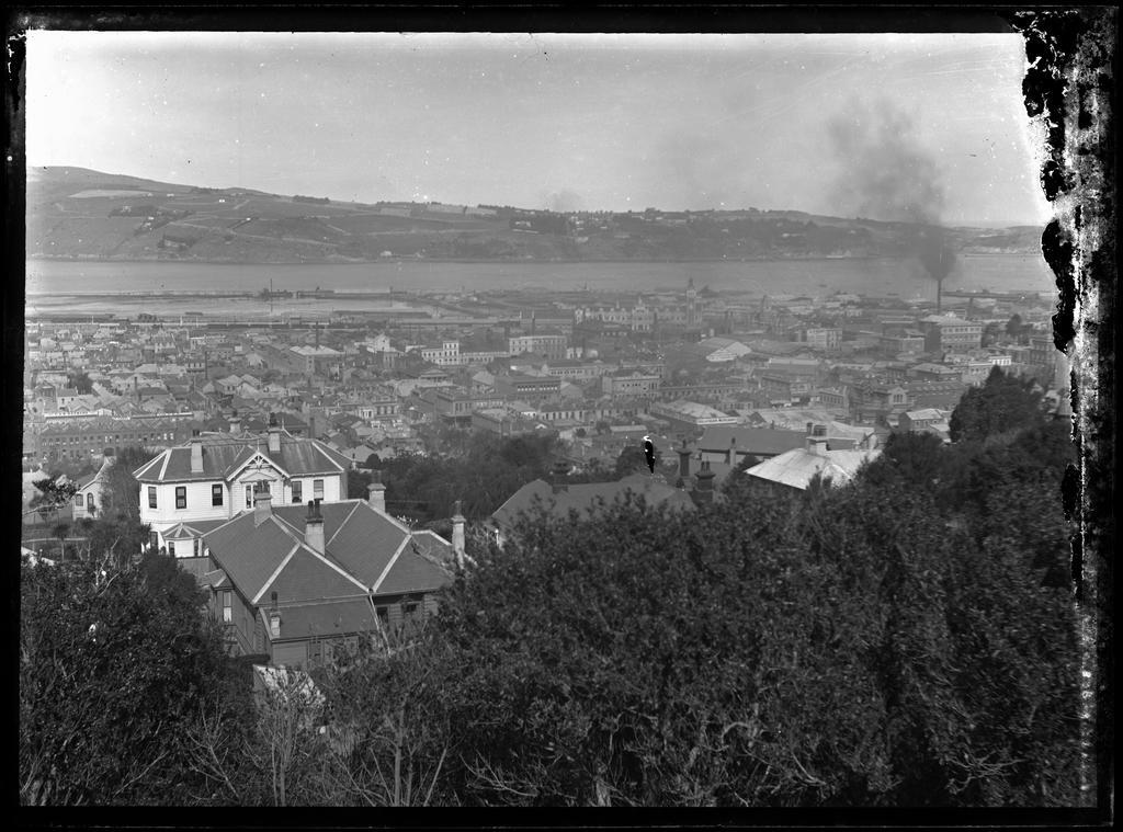 Central Dunedin from Queen Street