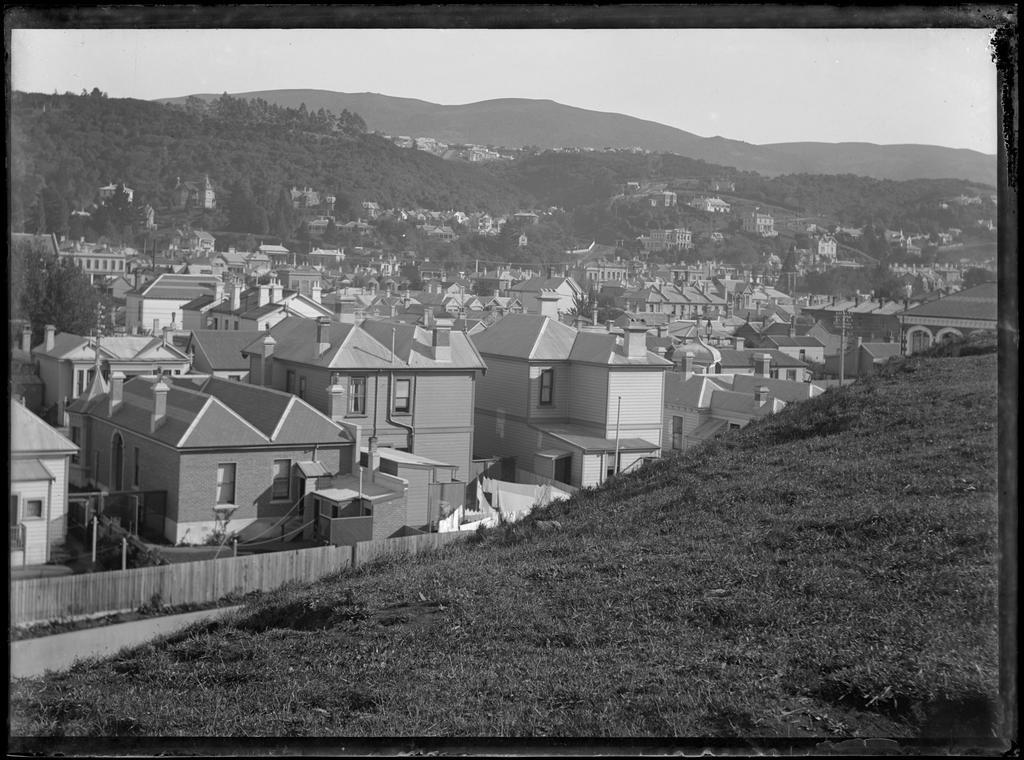 Dunedin north, looking towards Flagstaff