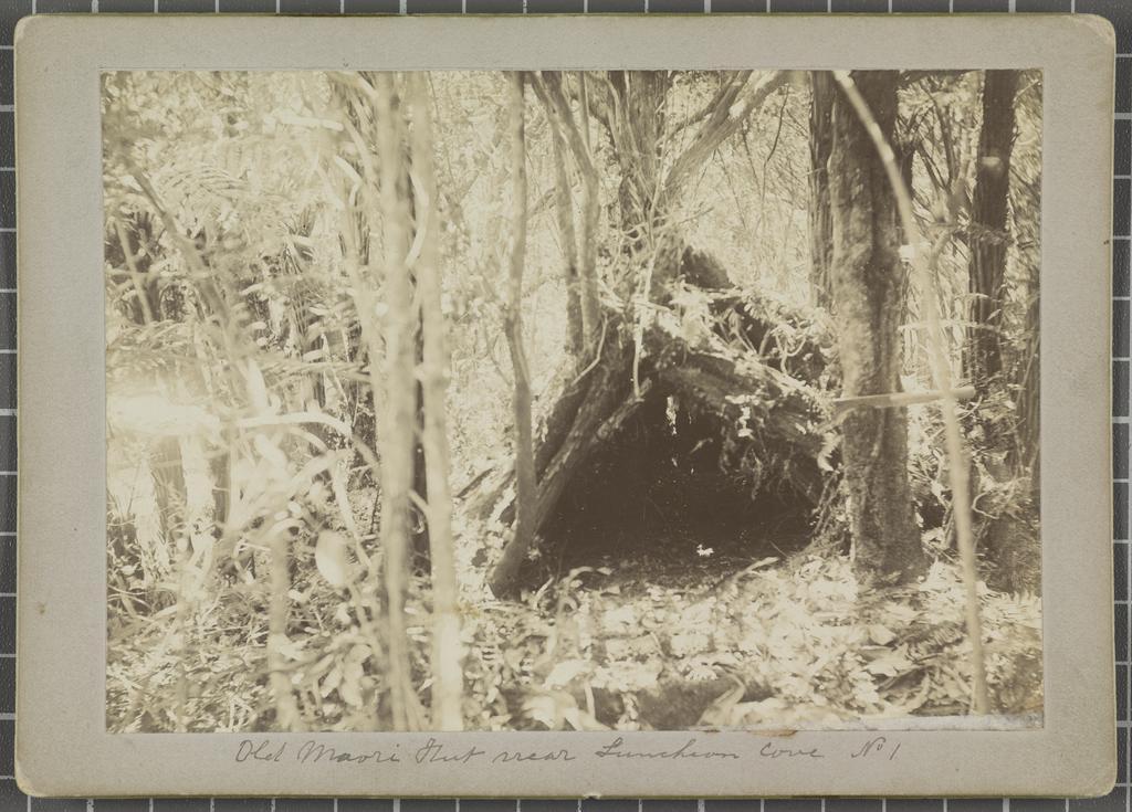 Old Māori hut near Luncheon Cove no.1