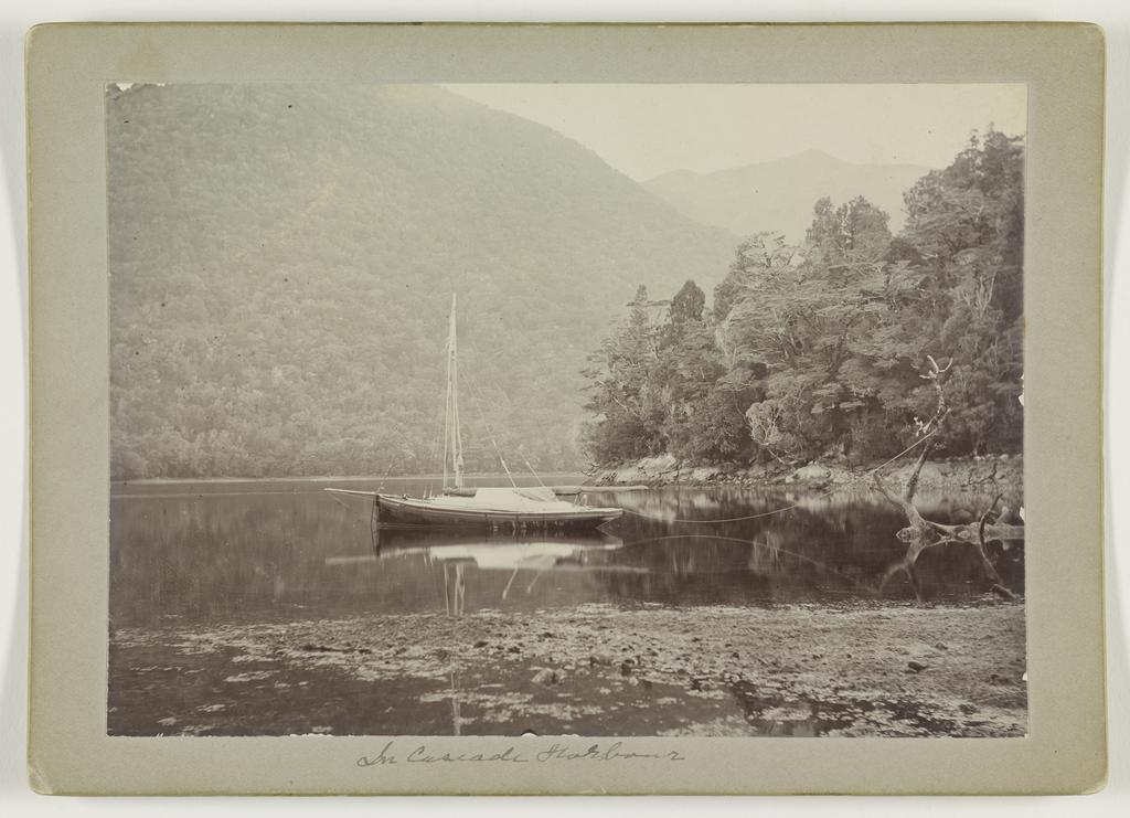 In Cascade Harbour, Dusky Sound