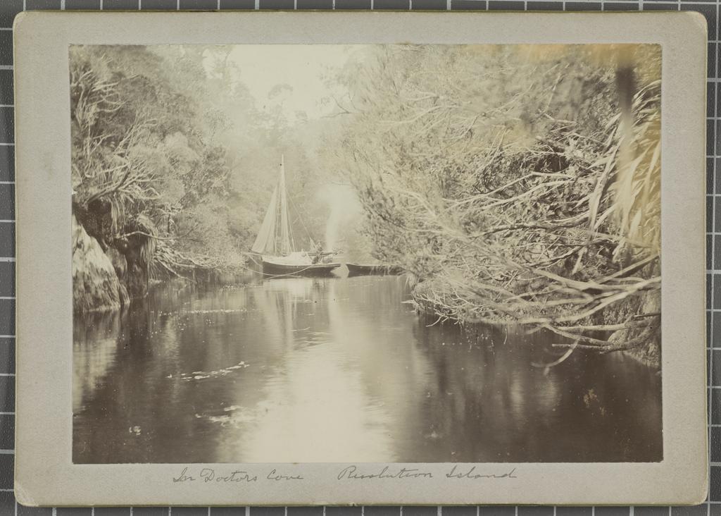 In Doctors Cove, Resolution Island