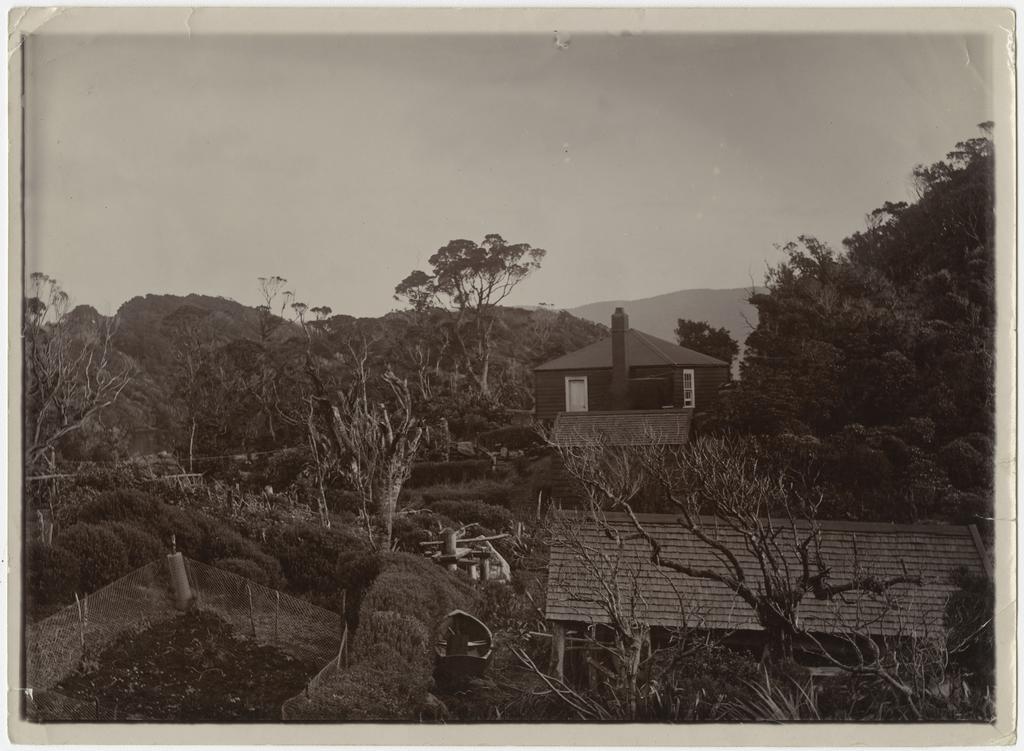 Homestead