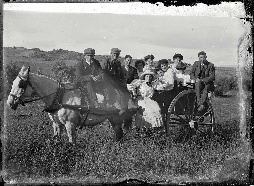 Group on a cart