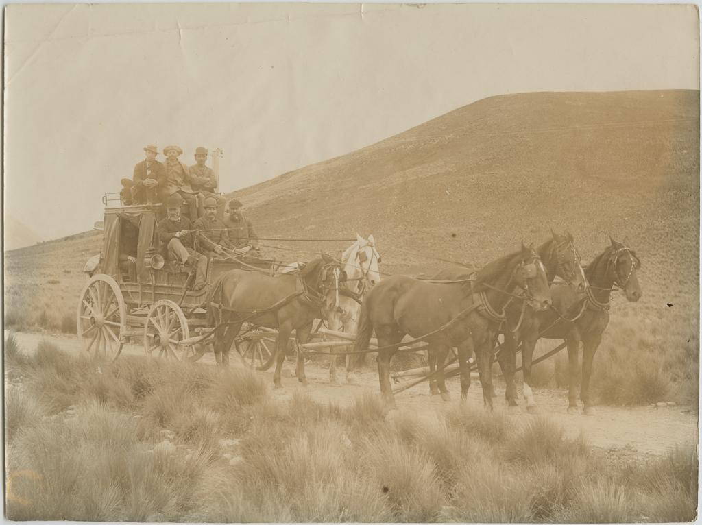 Horse-drawn coach, Arthur's Pass Road
