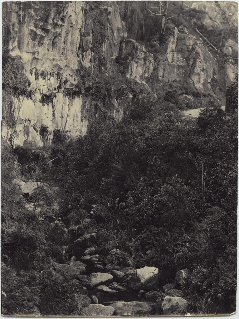 Road with cliff and stream below