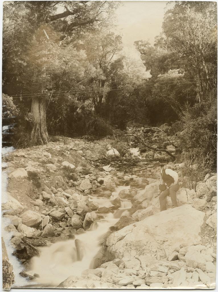 Man beside a West Coast stream