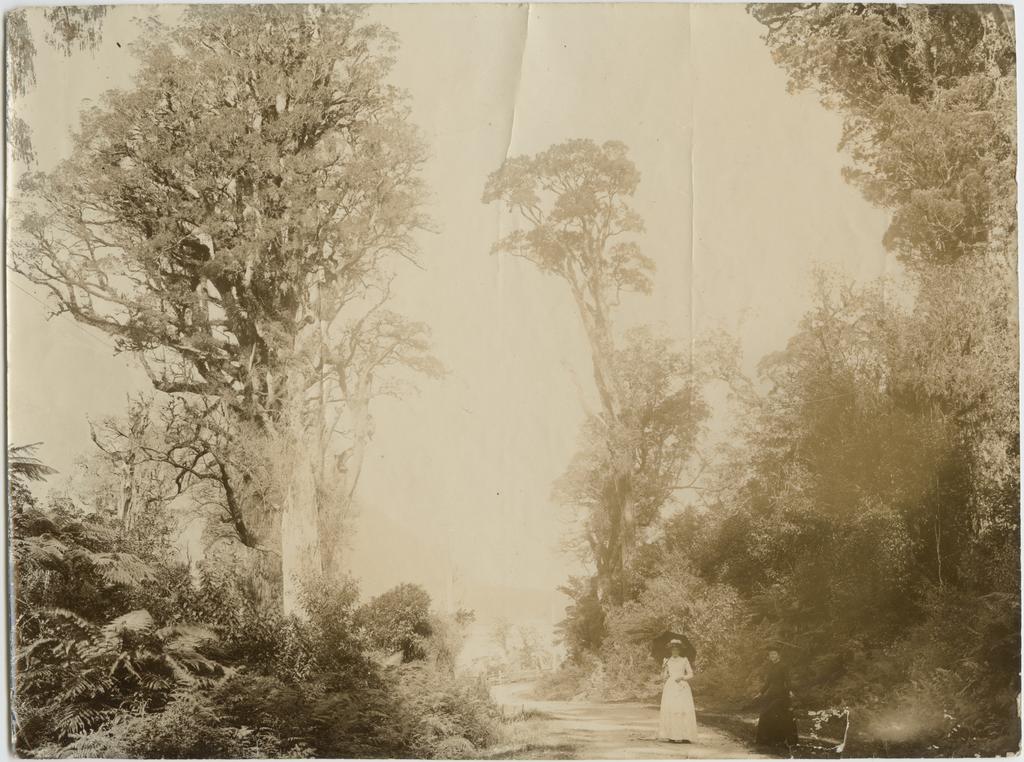 Two women on a West Coast road