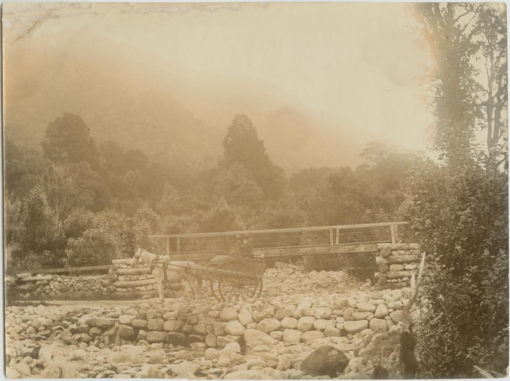 Couple in a horse-drawn buggy
