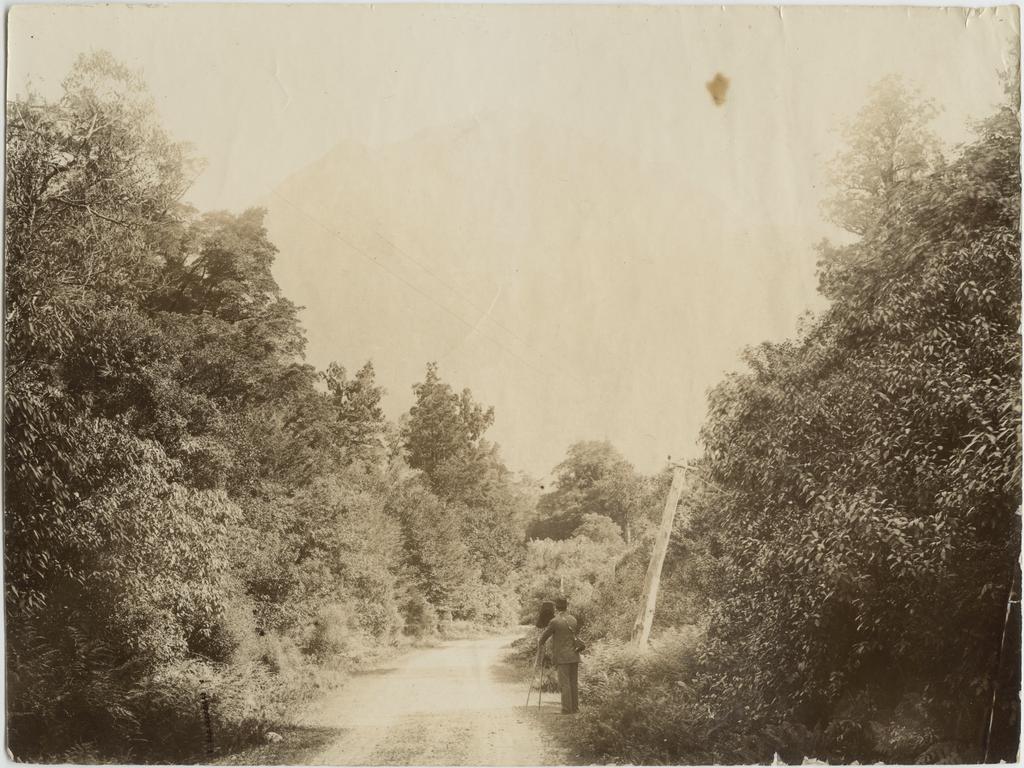 Photographer on a road