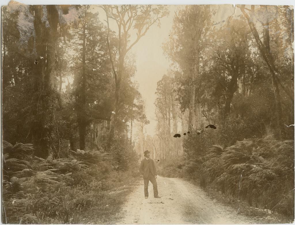 Man standing on a bush road