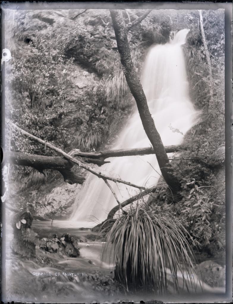 Glimpse of Fairyland