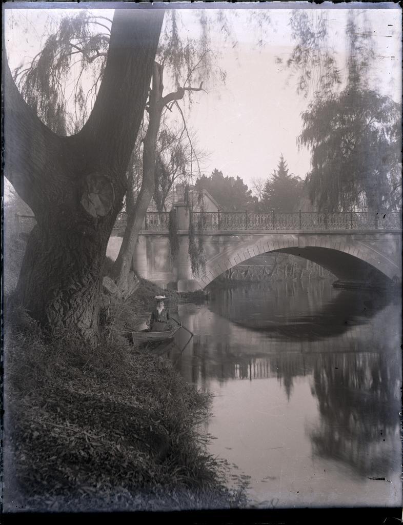 Rowing on the Avon, Christchurch