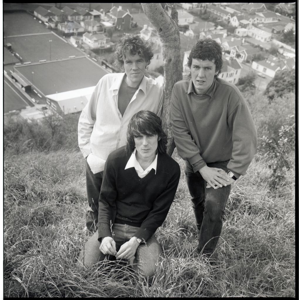 The Verlaines