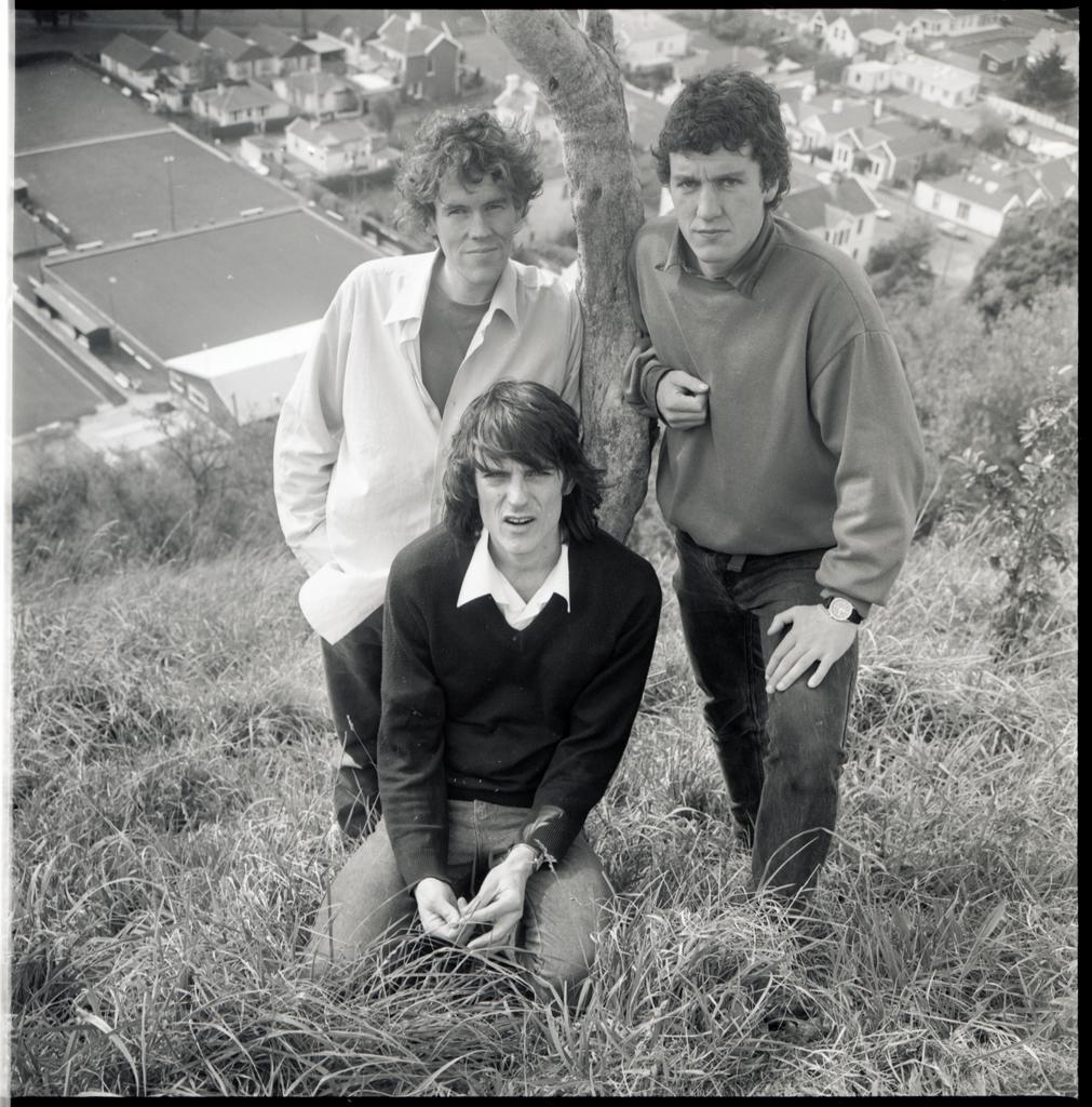 The Verlaines
