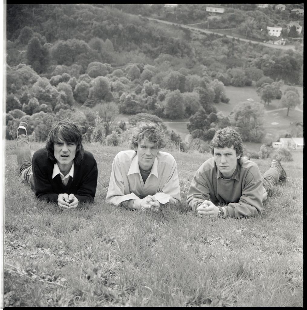 The Verlaines