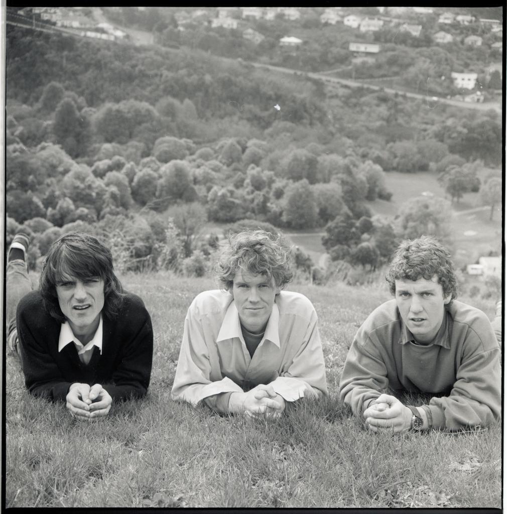The Verlaines
