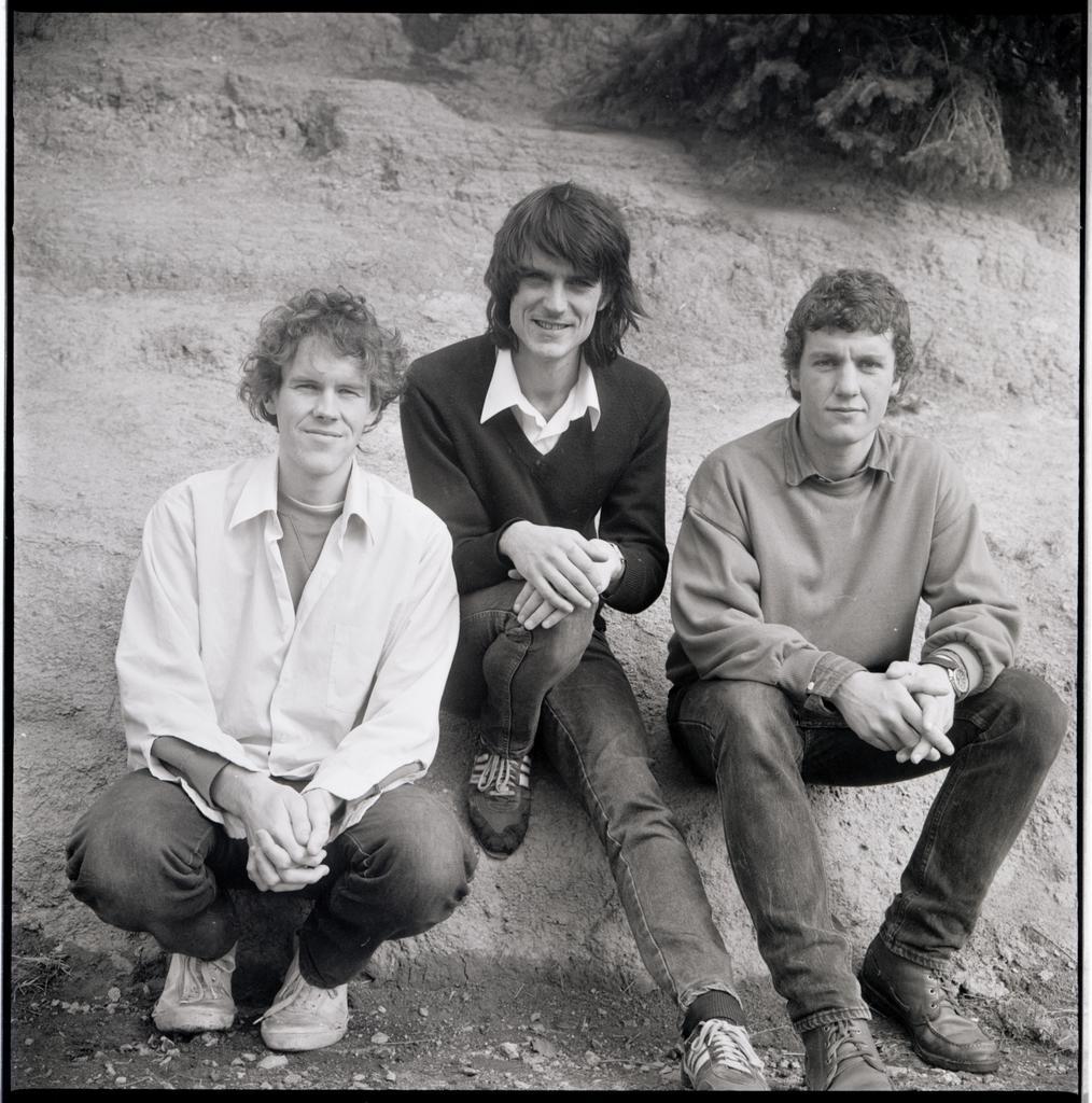 The Verlaines