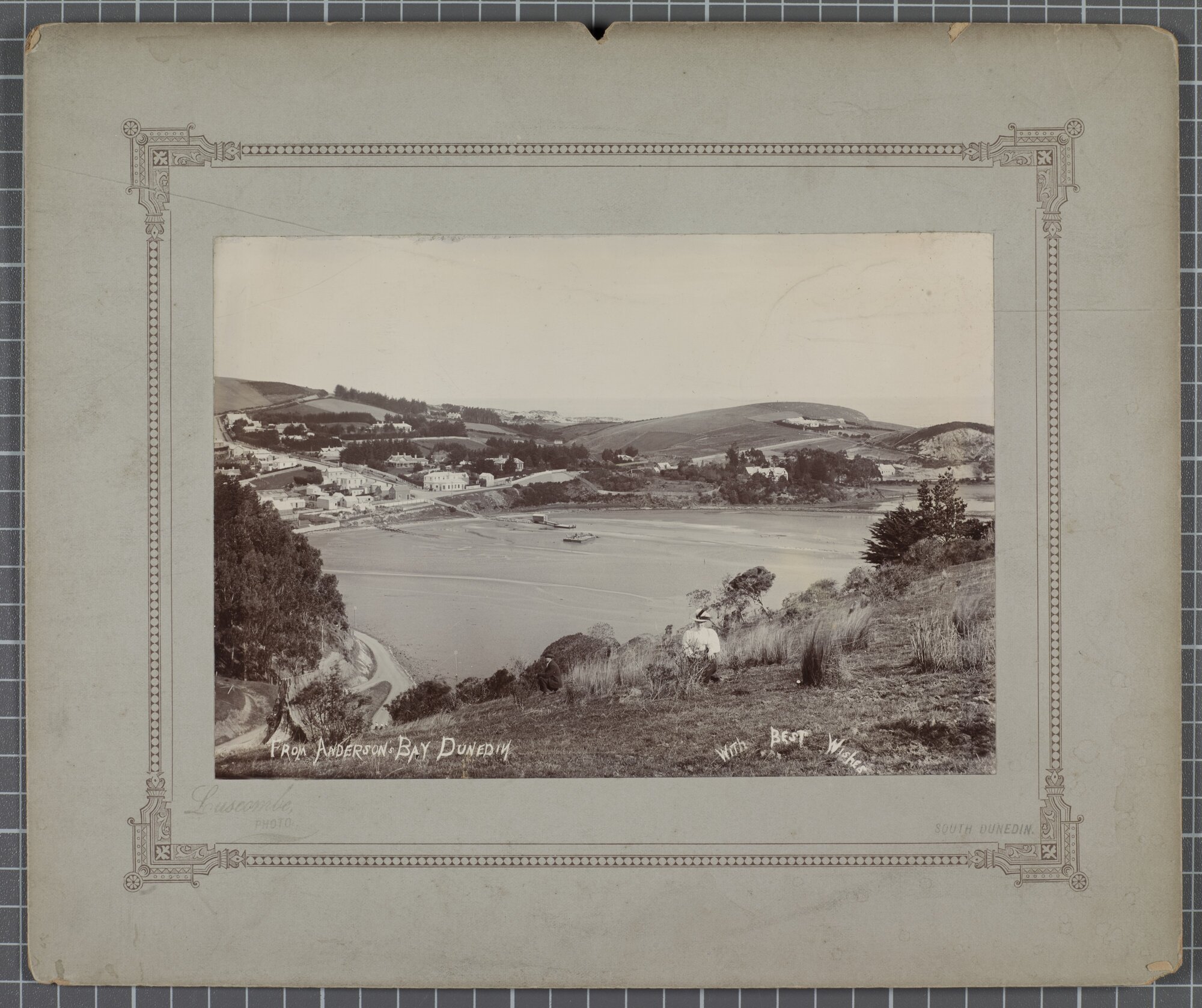 From Andersons Bay, Dunedin