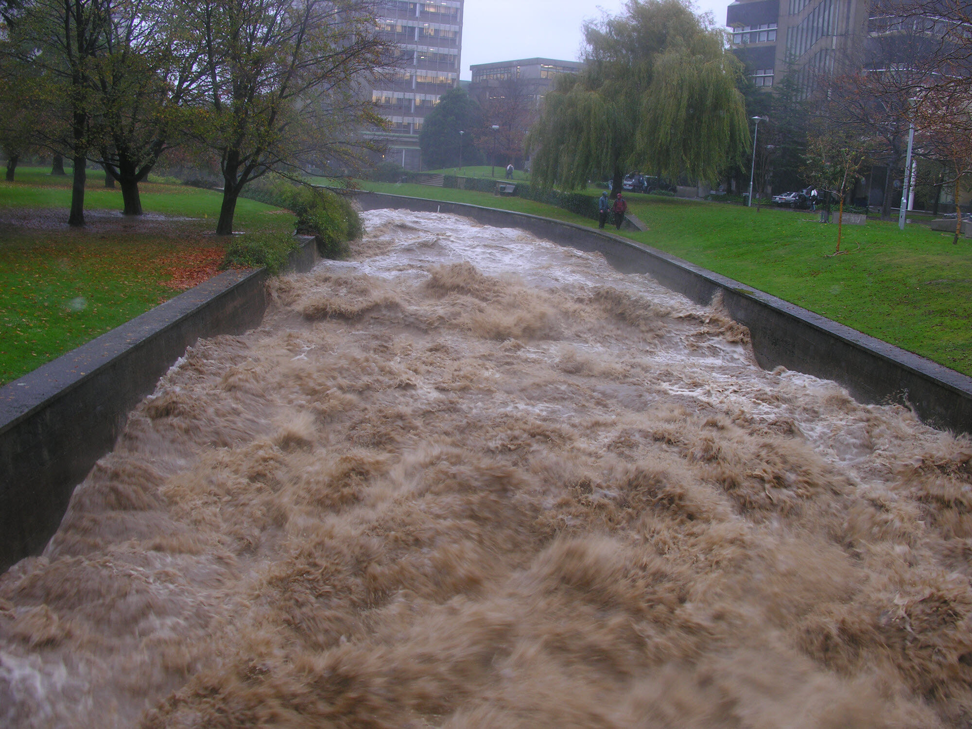 The Leith in flood