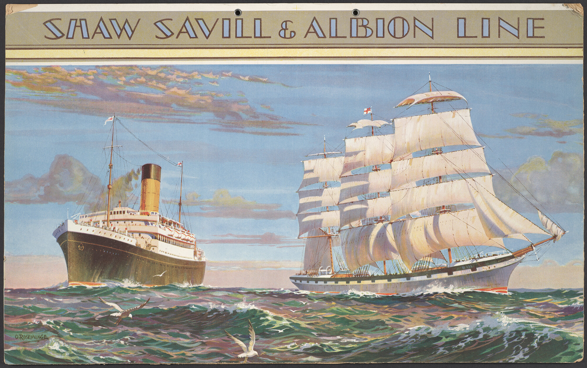 "Shaw Savill &amp; Albion Line"