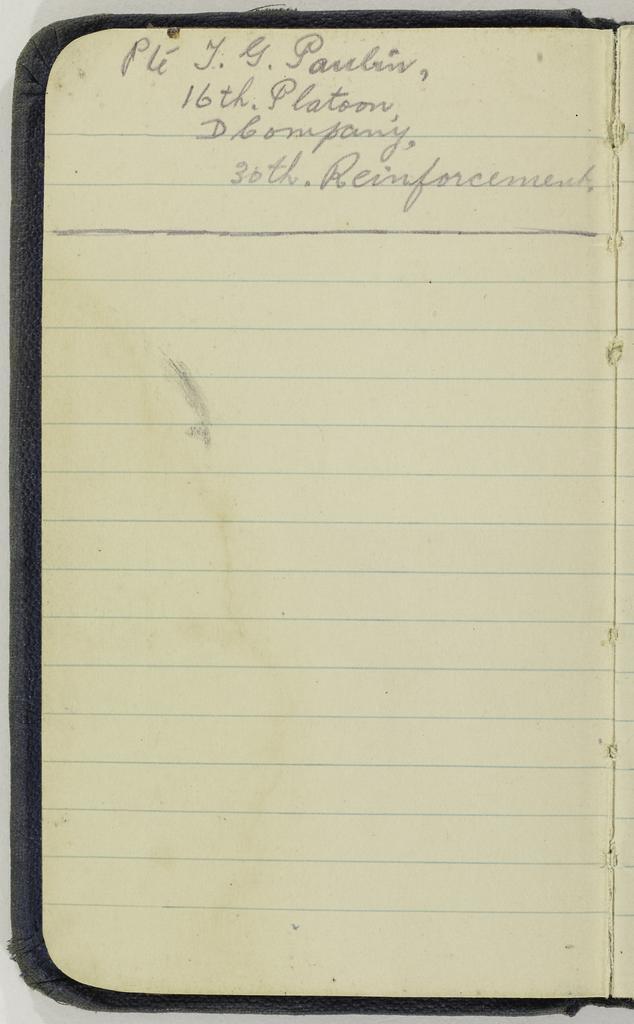 World War I diary of Thomas Gerald Paulin