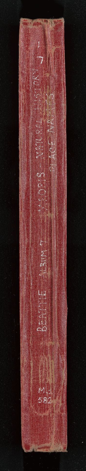 Newspaper clippings album, number 7