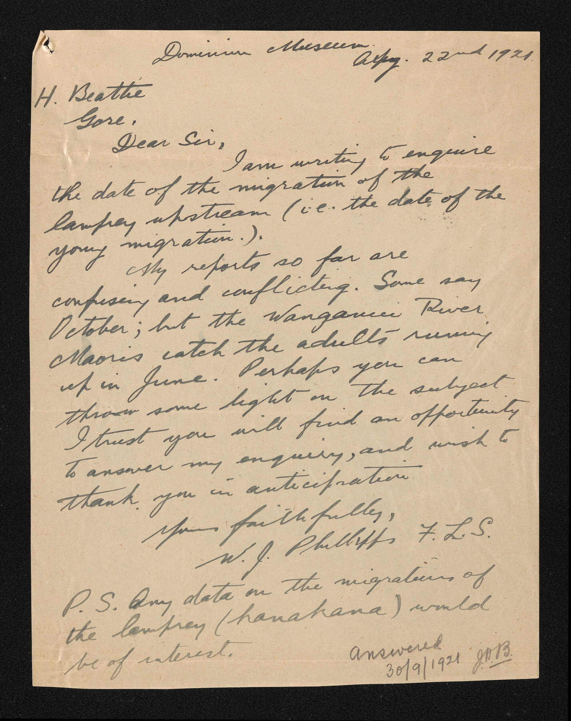 Letter, 22 August 1921, from W.J. Phillipps, to Herries Beattie