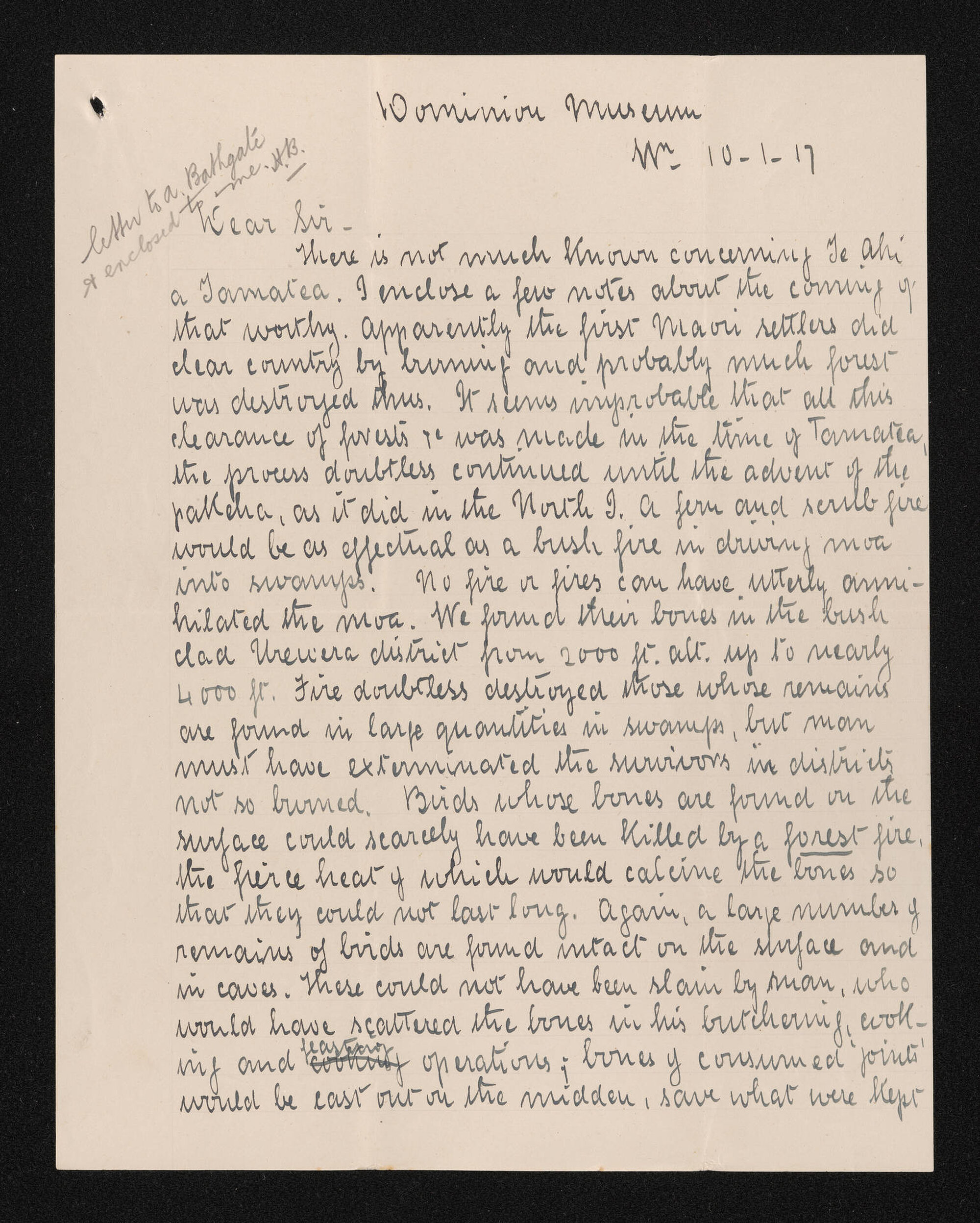 Letter, 10 January 1917, from Elsdon Best, to Alexander Bathgate and enclosed to Herries Beattie