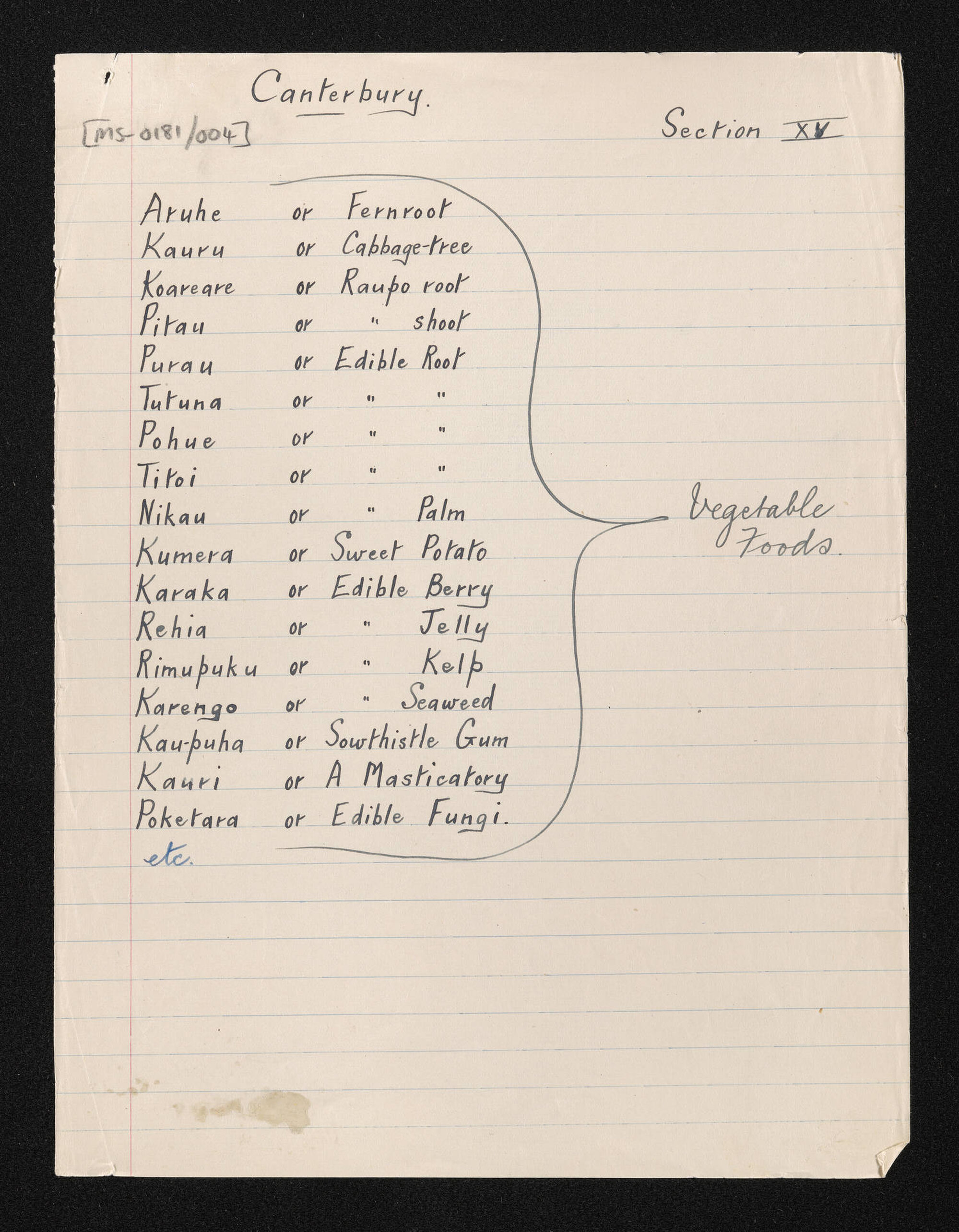 Record of interviews with Māori in Canterbury, sections 15 to 22