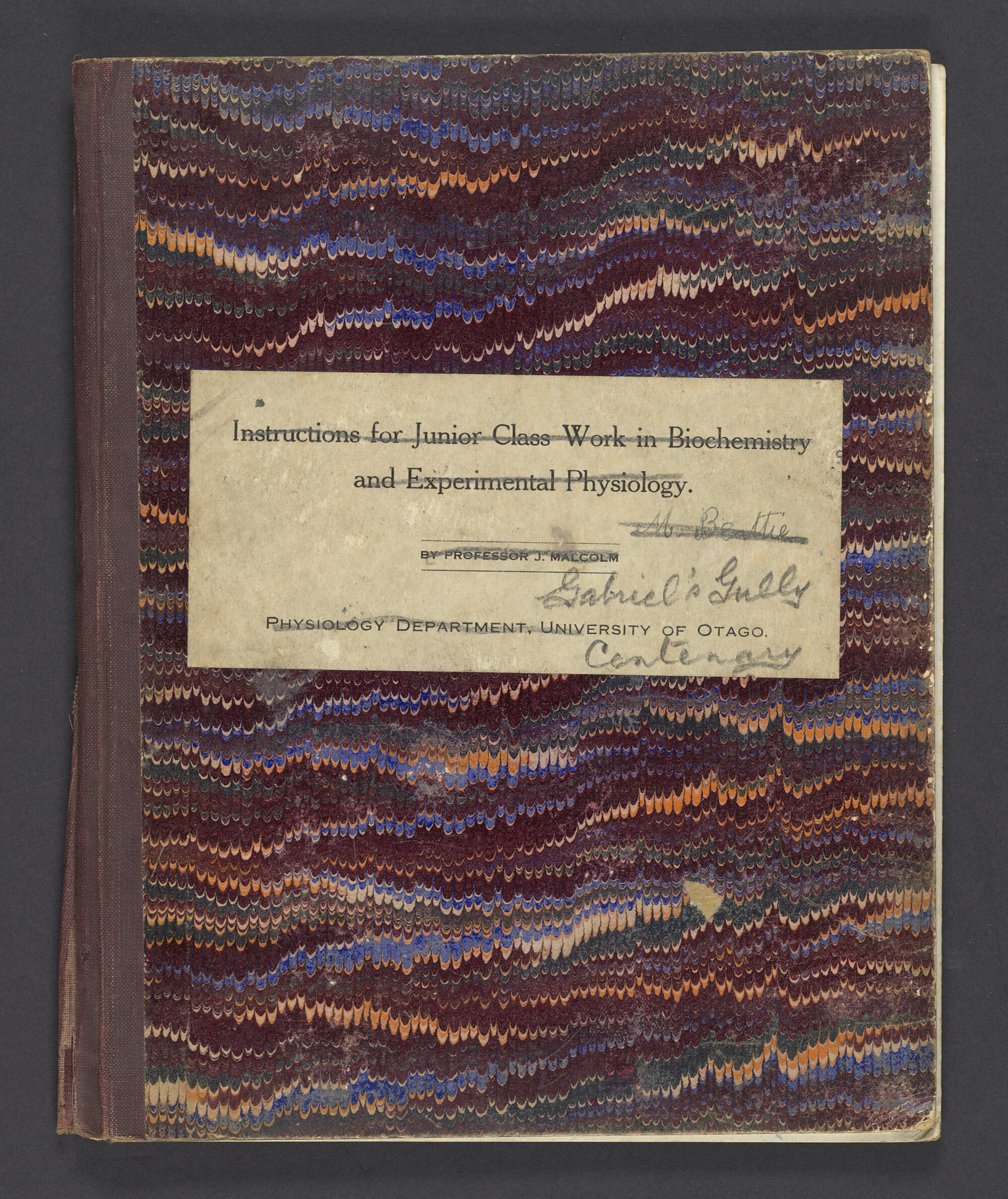 Papers relating to Gabriels Gully centenary