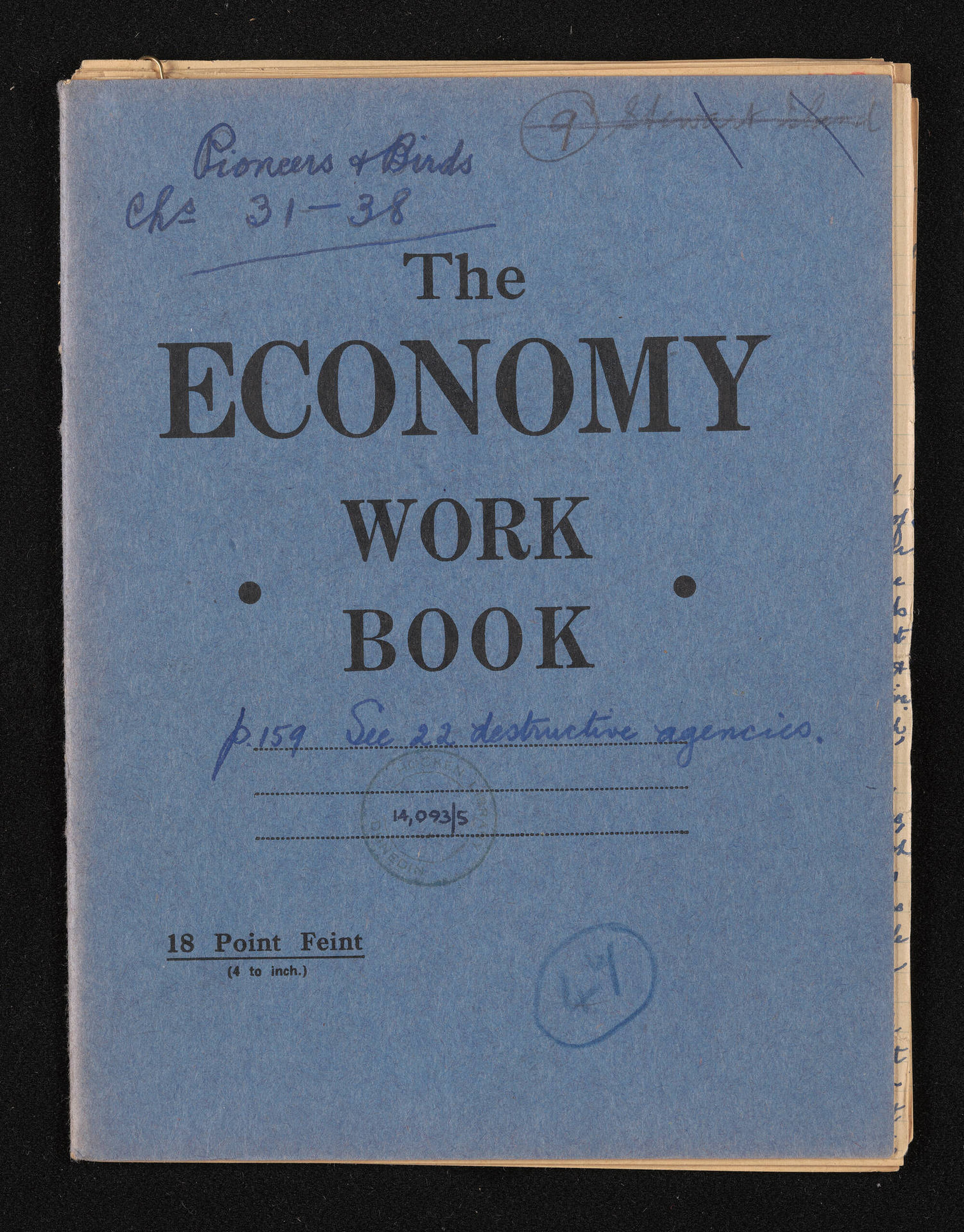 Manuscript entitled 'Pioneers and birds', chapters 31-38