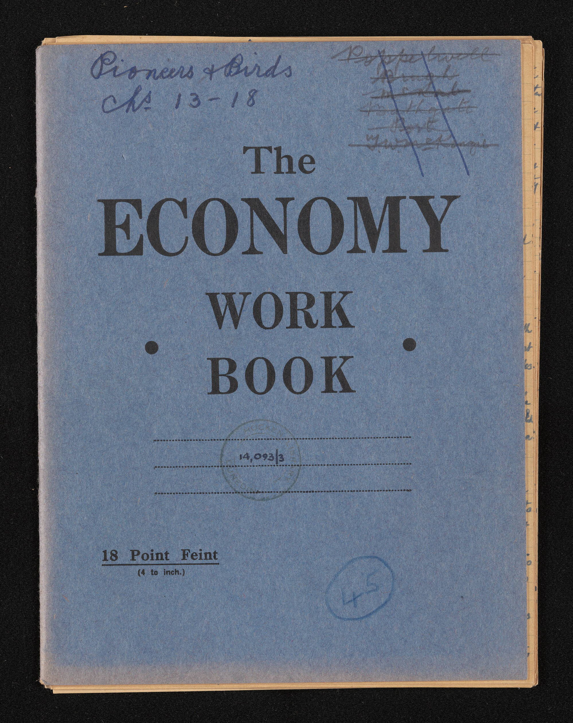 Manuscript entitled 'Pioneers and birds', chapters 13-18