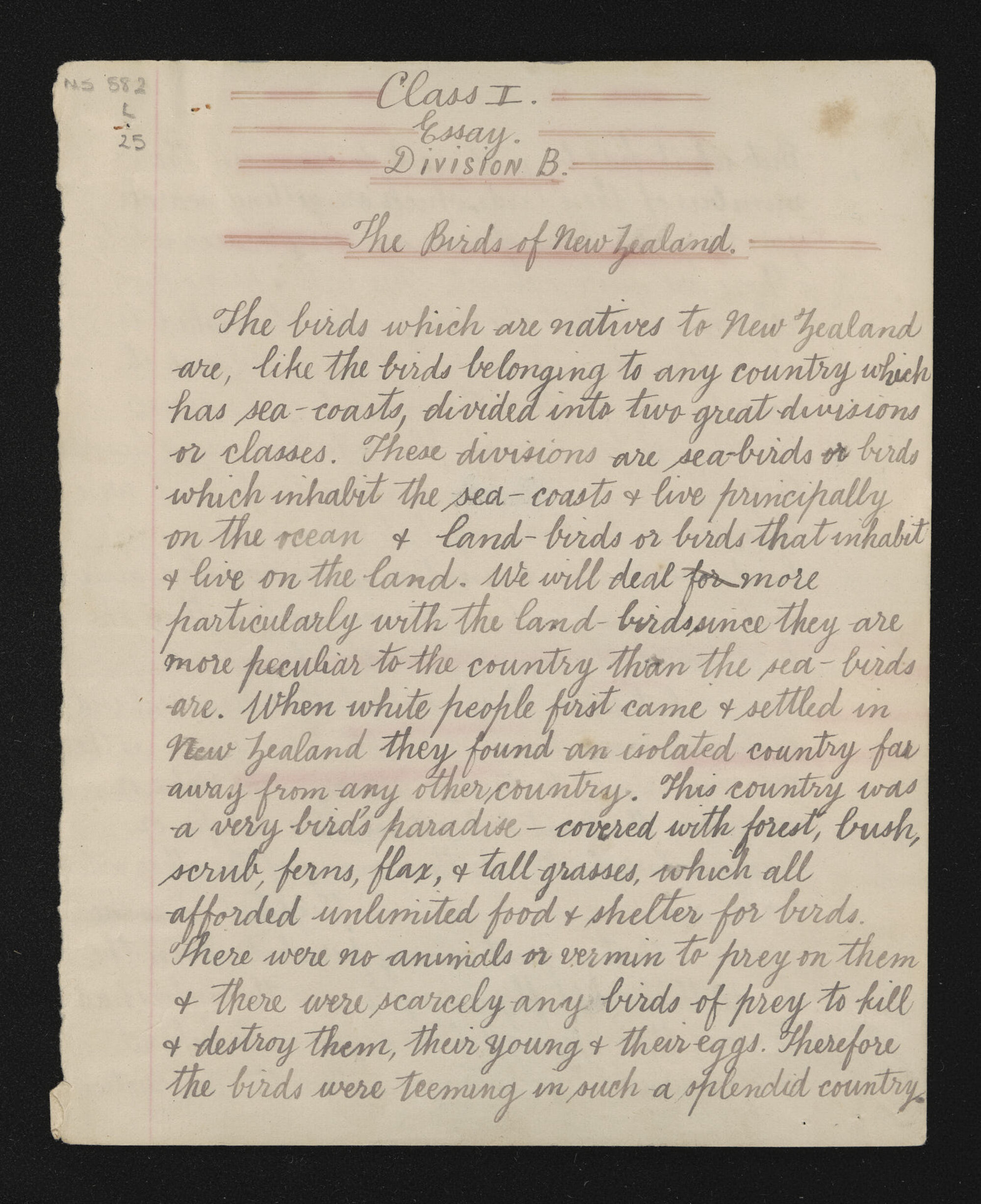 Essay entitled, 'Birds of New Zealand'